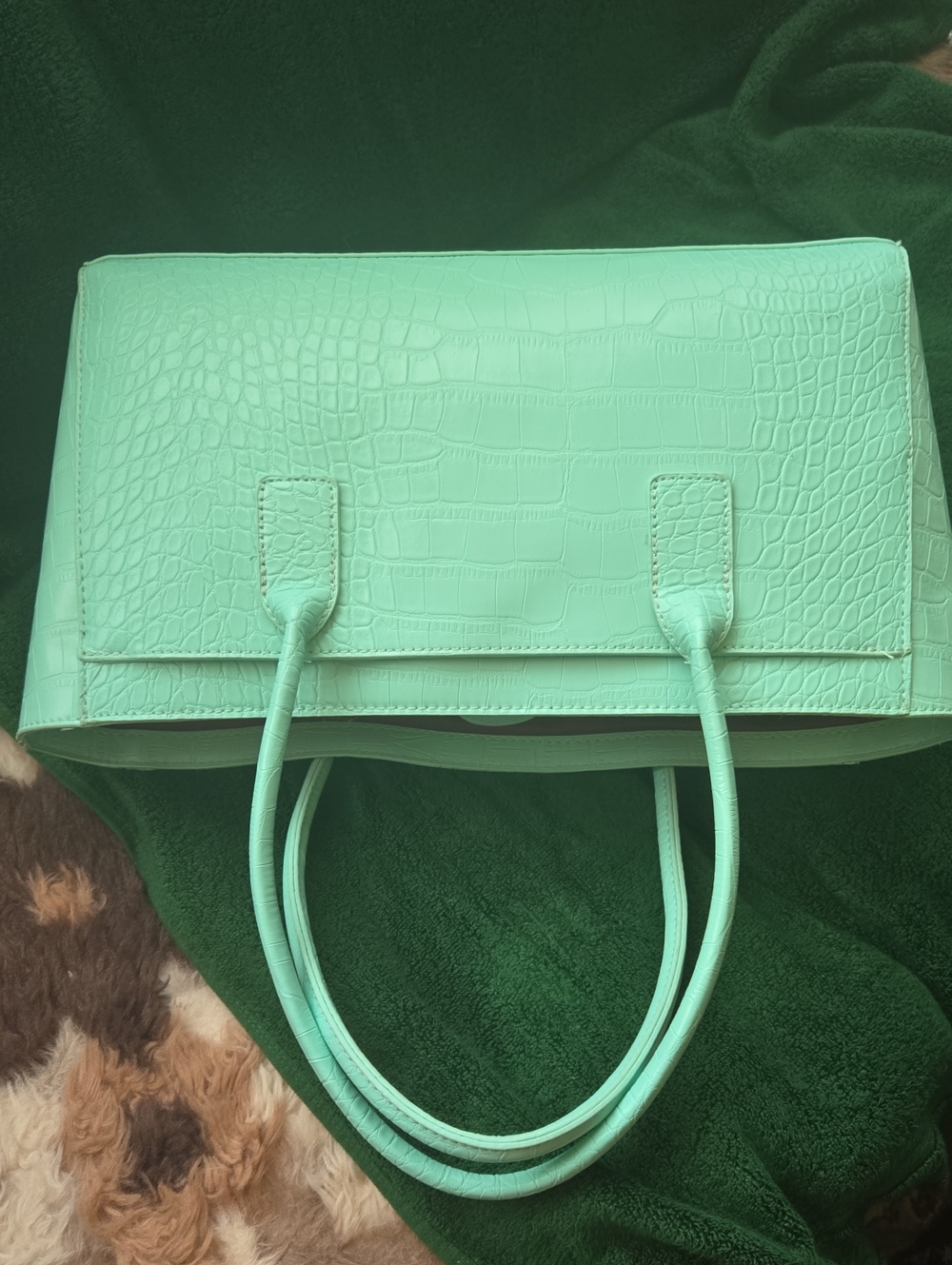 Classic Croc-Embossed Tote Bag in Mint Green - Picture 2 of 5